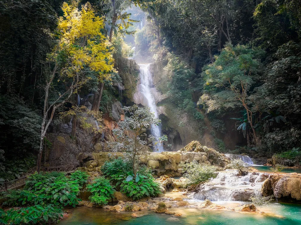 Paradise Valley Springs