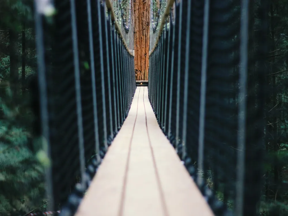 Redwood Treewalk