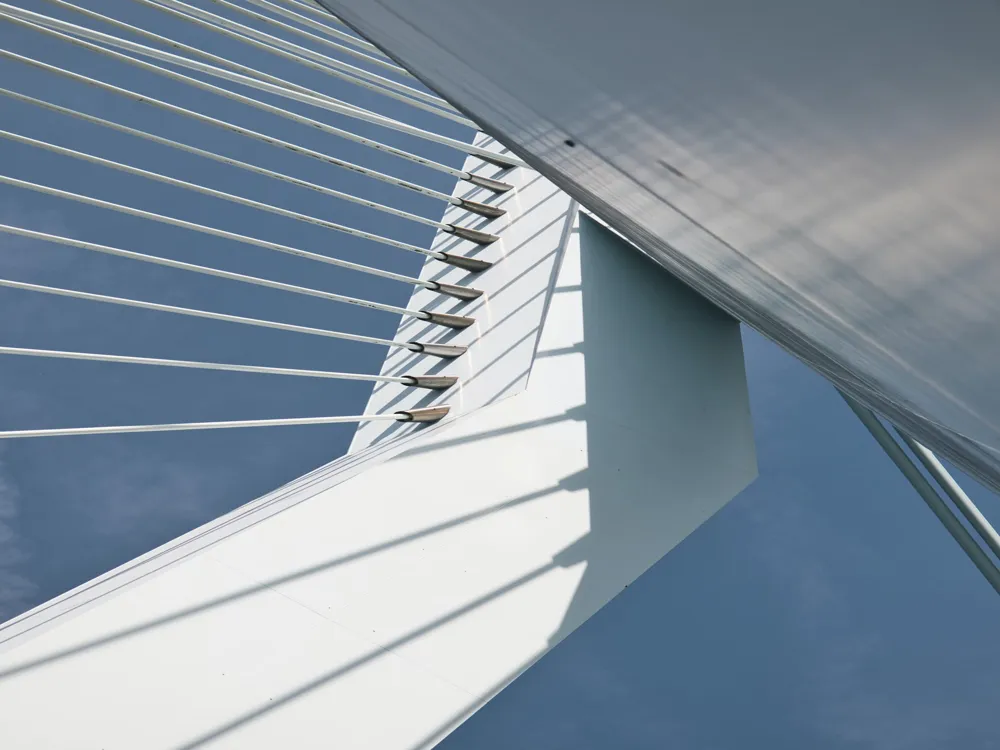 Erasmus Bridge