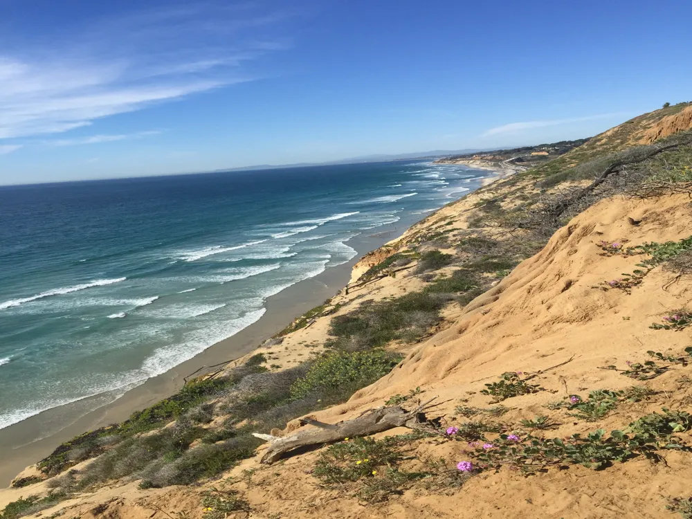 Torrey Pines State Reserve