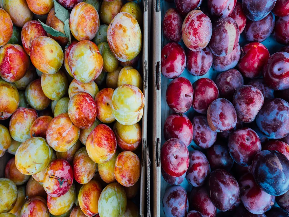 Farmers Market San Francisco