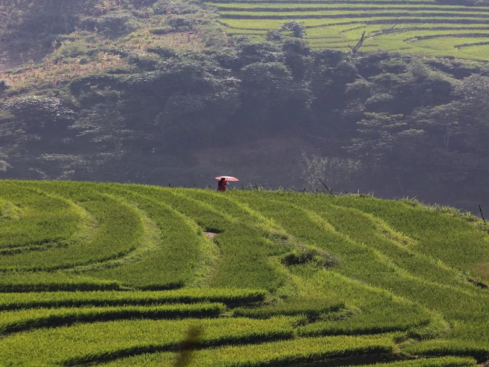 Hiking in Sapa