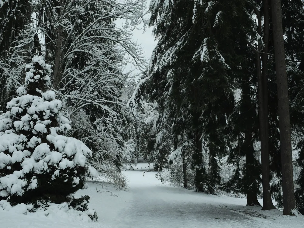 UW Arboretum