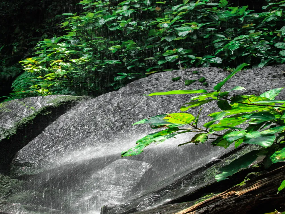 Phnom Kulen Waterfall