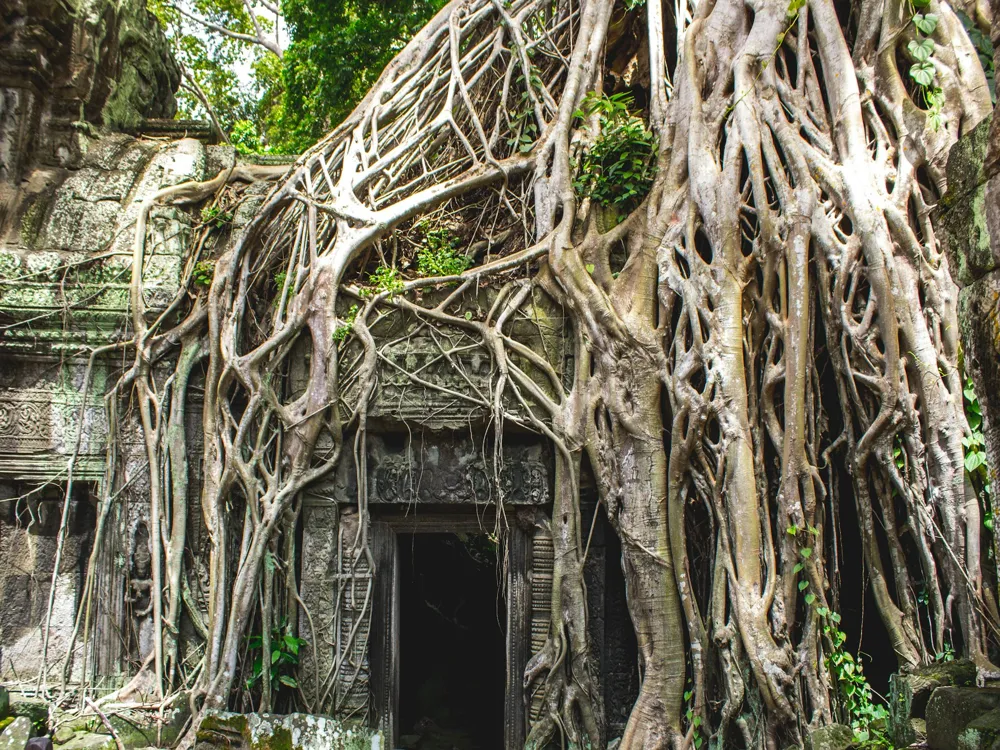 Ta Prohm Temple