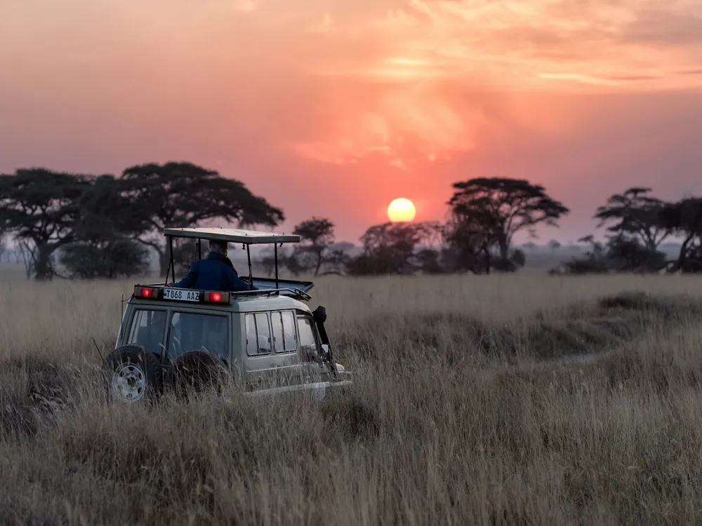 Bengal Safari