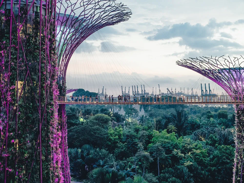 OCBC Skyway