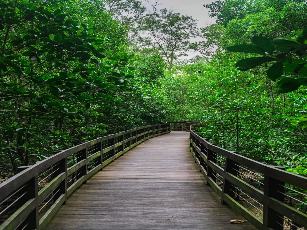 Pasir Ris Park