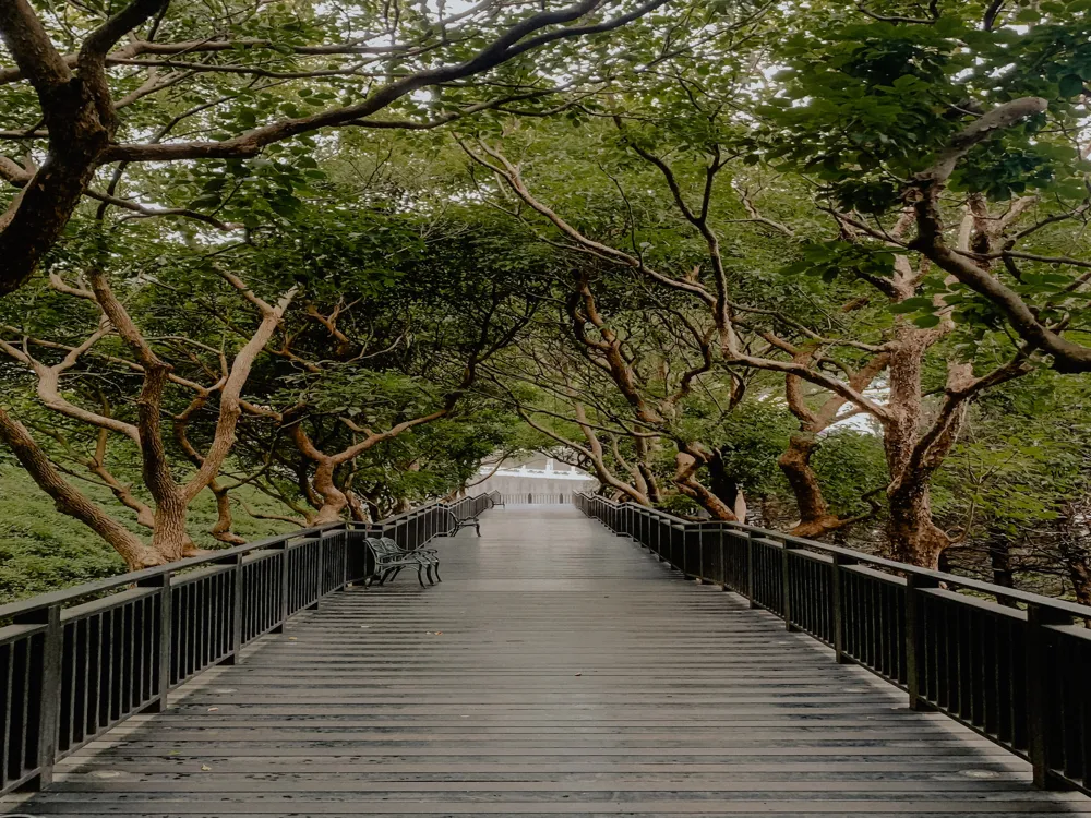 National Taiwan Museum