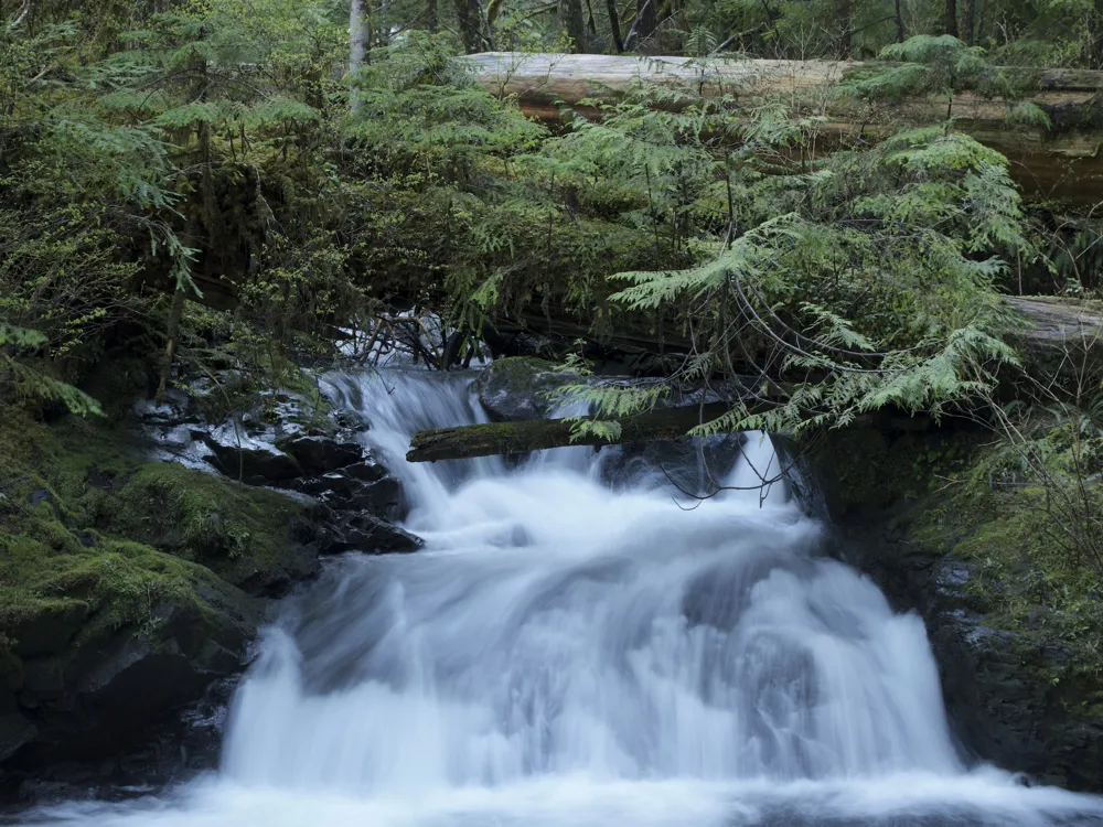 Otumuheke Stream