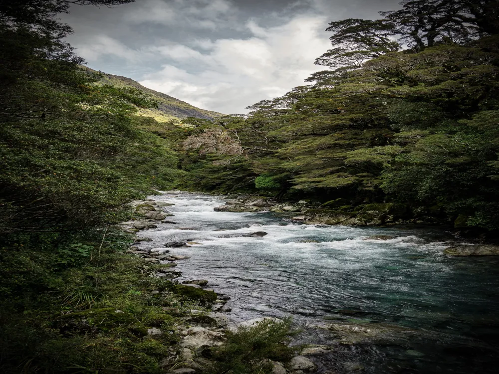 Fiordland National Park