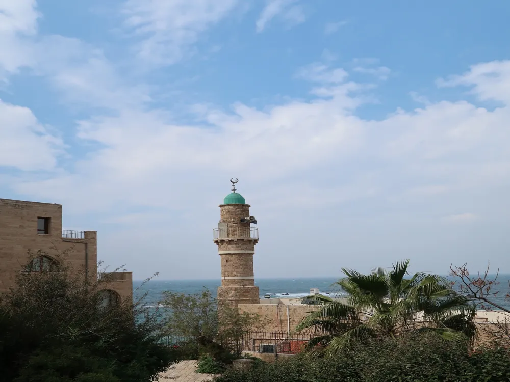 Jaffa