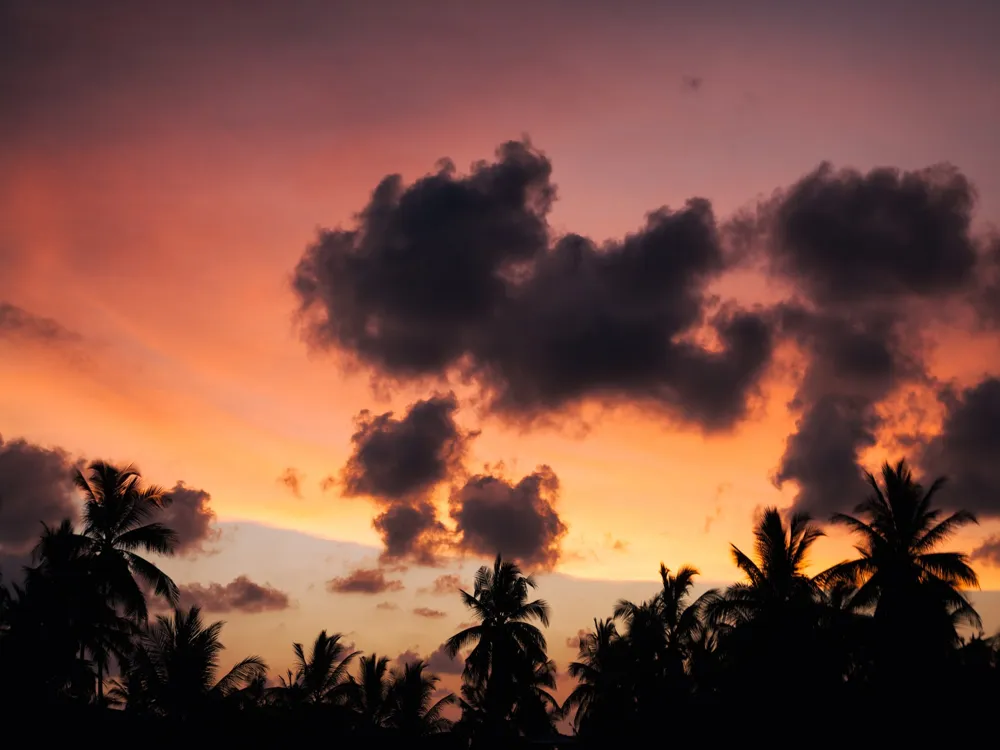 Diving and Snorkelling at Unawatuna