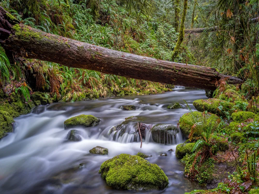 Goldstream Provincial Park