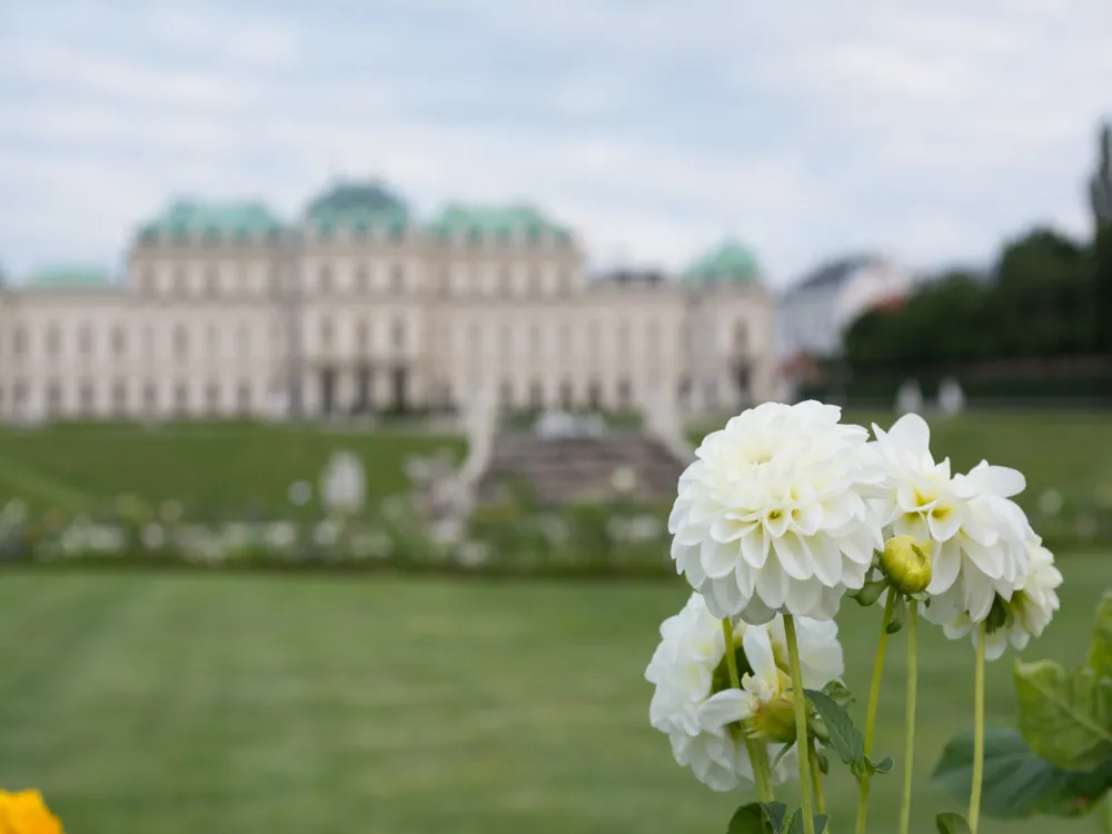 Belvedere Palace