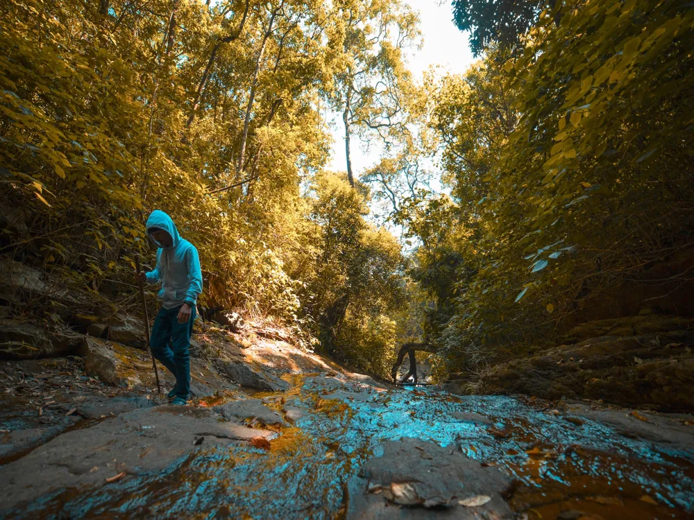 Edakkal Caves