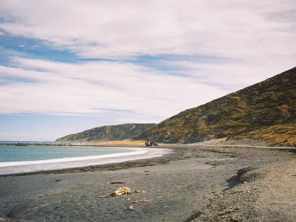 Beaches in Wellington