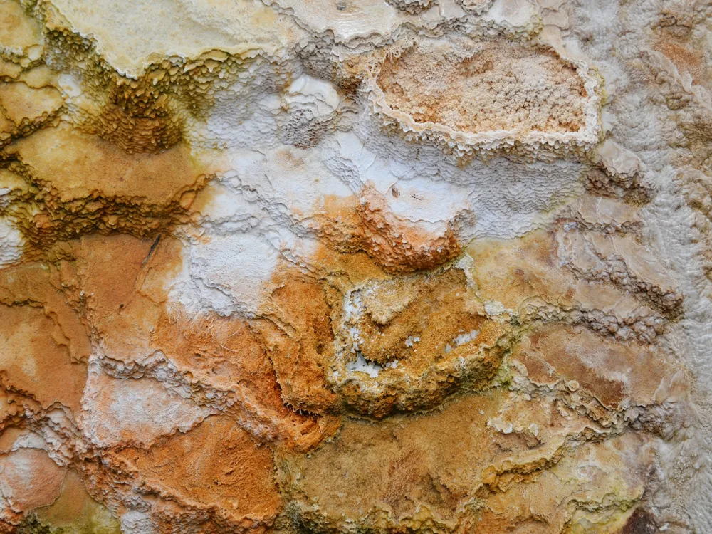 Mammoth Hot Springs