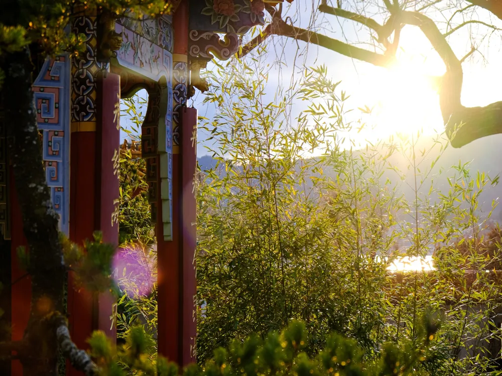 Chinese Garden Zurich