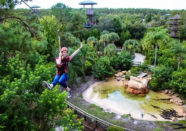 Gatorland: Florida's Wild Side