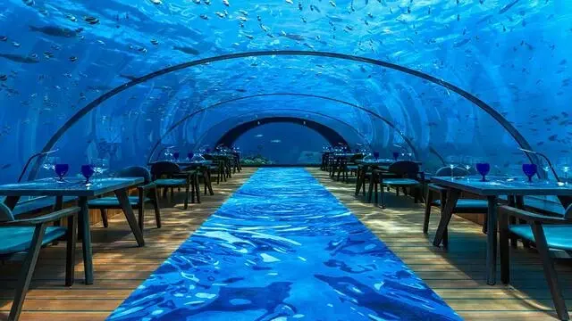 Unique Dining Experiences