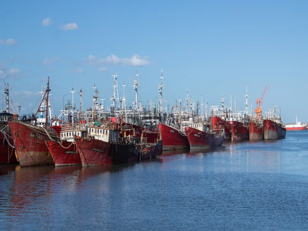 <p><strong>Colorful Fishing Fleet at Mar del Plata Port</strong></p>