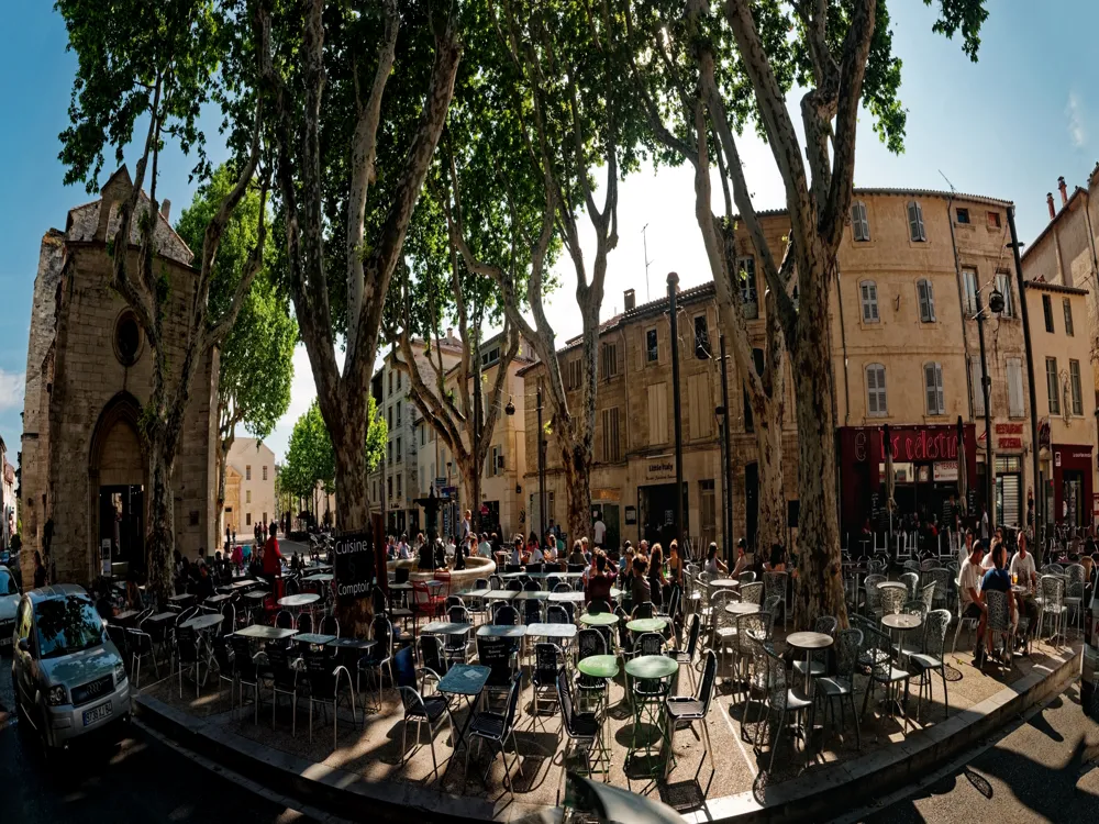 <p><strong>Avignon's Saint-Michel Chapel: Gothic Splendor</strong></p>