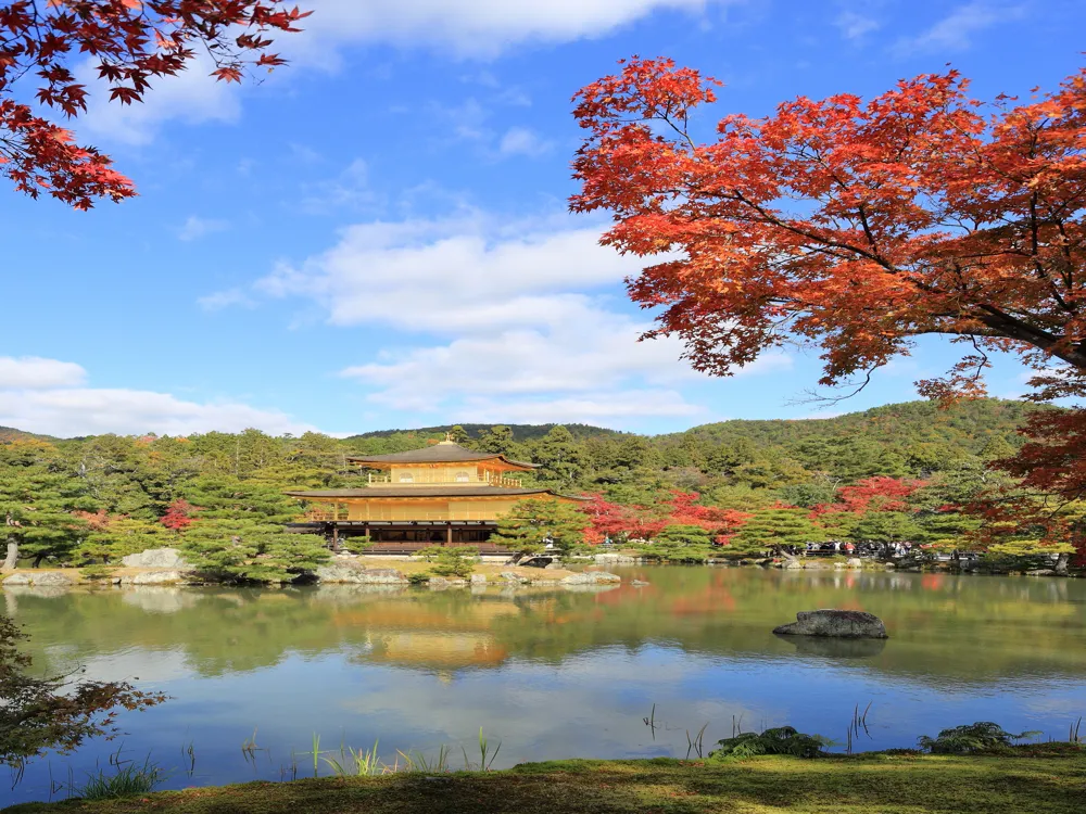 <p><strong>Golden Pavilion: Kyoto's Zen Marvel</strong></p>