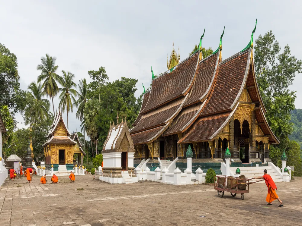 <p><strong>Monk Cleans Wat Xieng Thong Yard</strong> </p>