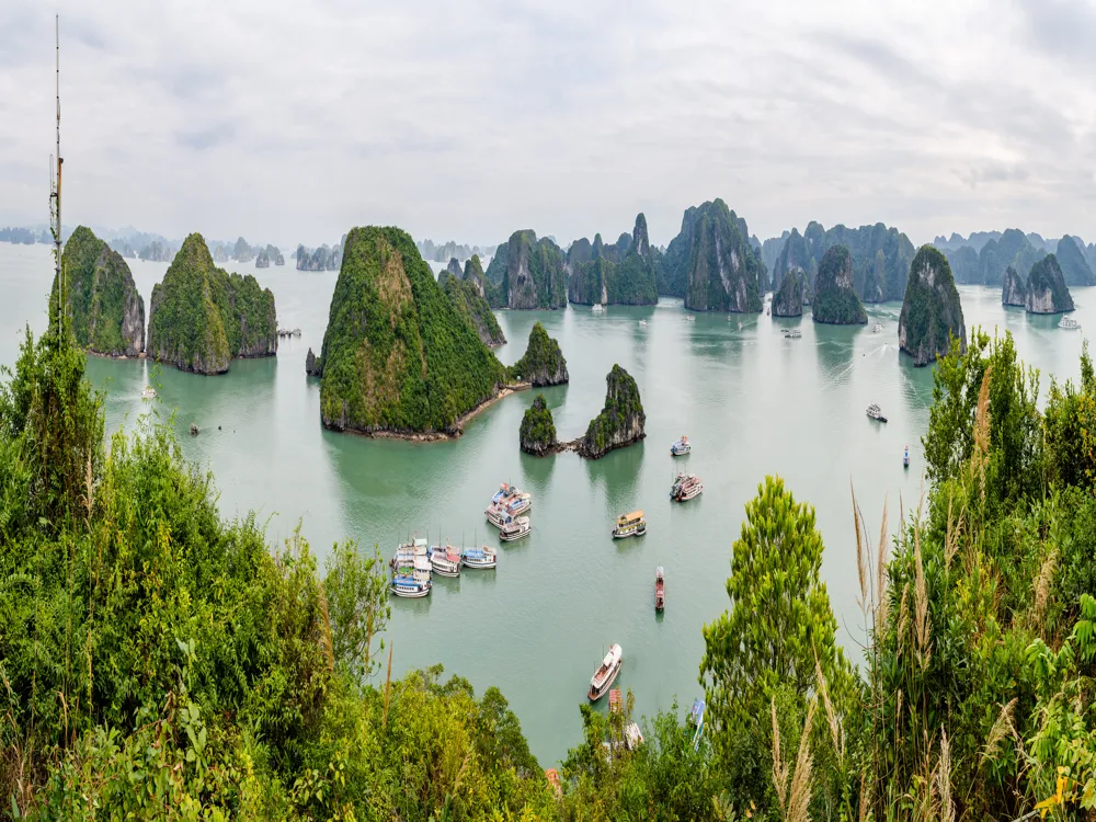 Hạ Long Bay: Ti Top Panorama