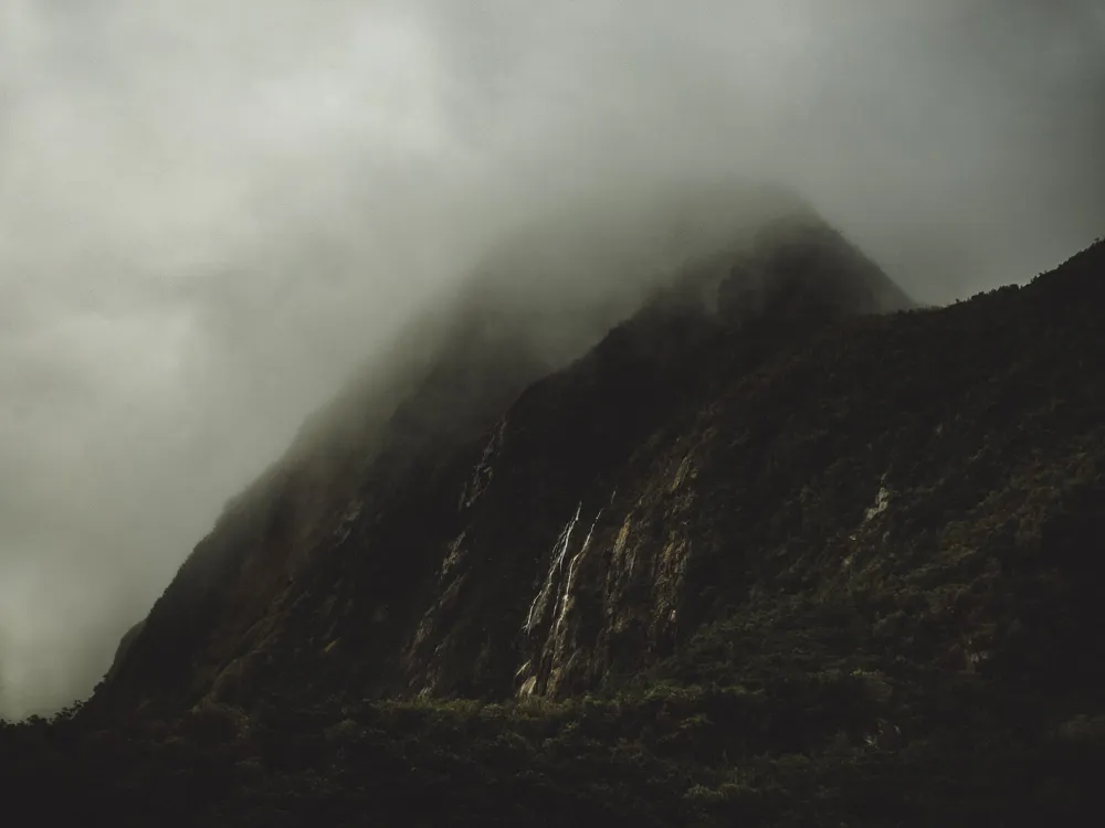 Fox Glacier