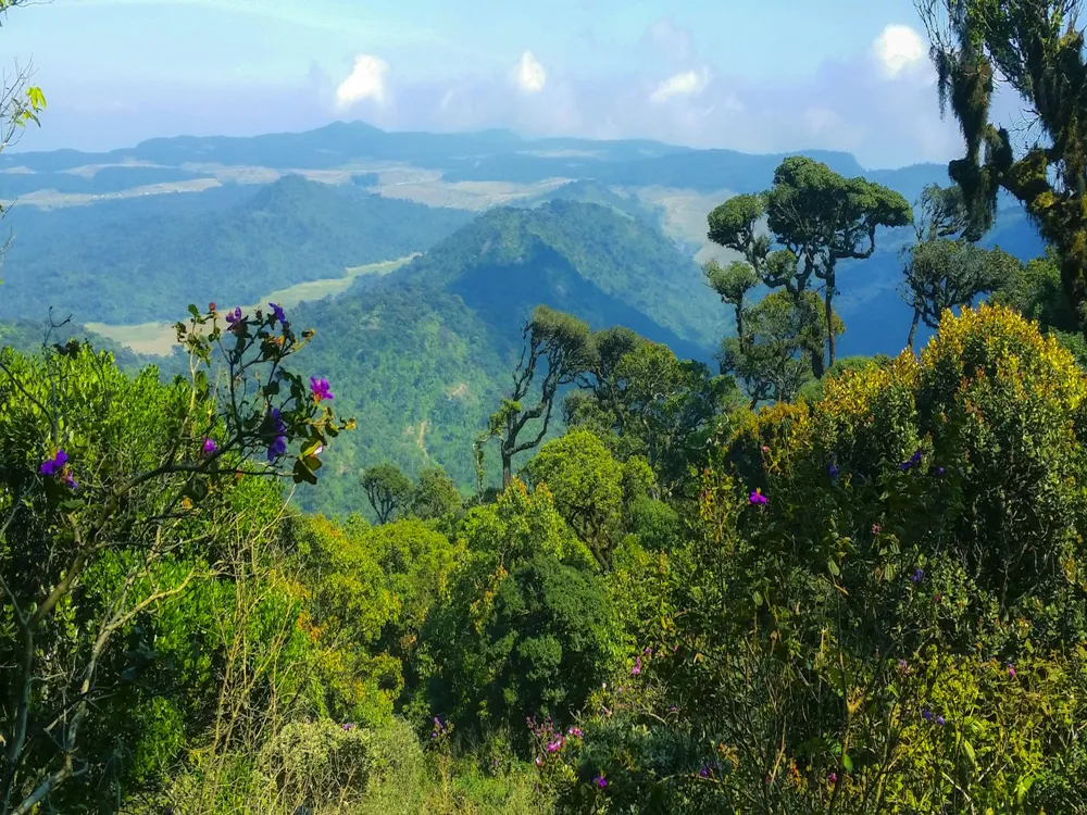 Horton Plains National Park