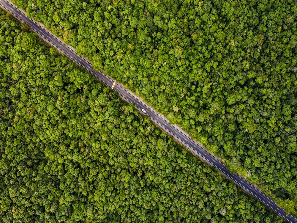 Khao yai national park