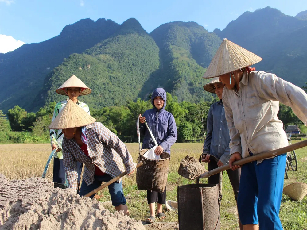 Mai Chau