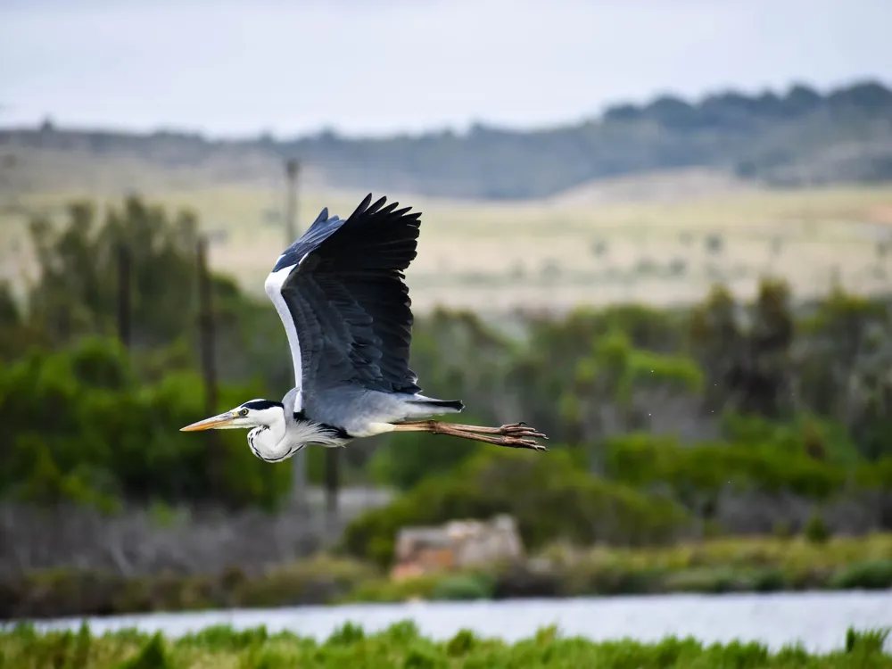 Mossel bay