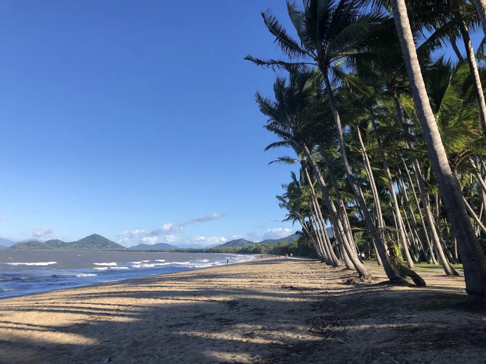 Palm cove