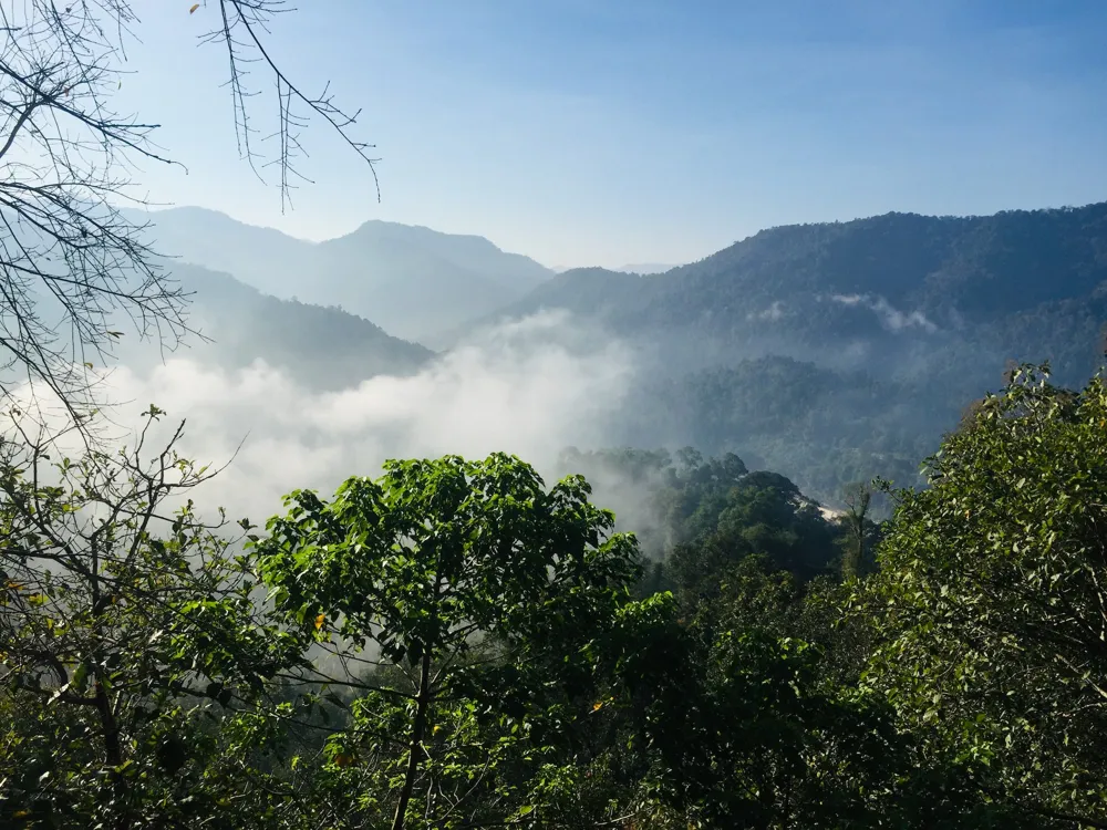 Sabarimala